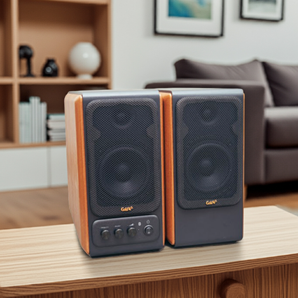 Loa vi tính Goldsound GoldTV SE1