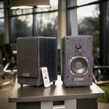 Loa vi tính HiFi H90B