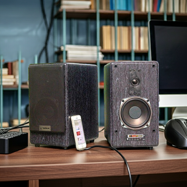 Loa vi tính HiFi H90B
