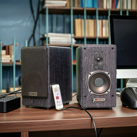 Loa vi tính HiFi H90B