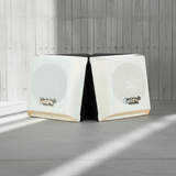 Loa treo tường Ne6W: loa phát nhạc nền, loa báo động, loa thông báo