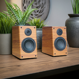 Loa vi tính HIFI 2.0 Goldsound GS51 Pro 2