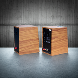 Loa vi tính HIFI 2.0 Goldsound GS51 Pro 2