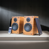 Loa vi tính HIFI 2.0 Goldsound GS51 Pro 2