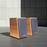 Loa vi tính HIFI 2.0 Goldsound GS51 Pro 2