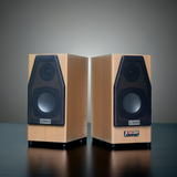 Loa vi tính HIFI H130W