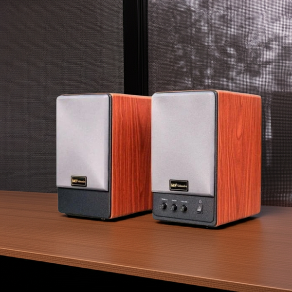 Loa vi tính HIFI Goldsound Gs51 Basic 4