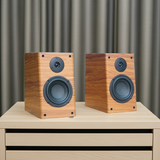 Loa vi tính HIFI 2.0 Goldsound GS51 Pro 2