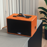 Loa nghe nhạc di động D99P, công suất 50w, pin 8 - 12h, bass 4 inch, 1 treble, bluetooth 5.0, 2 cổng cắm Micro, cổng rca, khe usb, thiết kế loa thùng gỗ cao 20 cm, rộng 32 cm, sâu 20 cm. Bảo hành 12 tháng