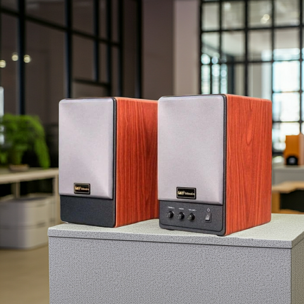 Loa vi tính HIFI Goldsound Gs51 Basic 4