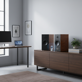 Loa vi tính HIFI 2.0 W167
