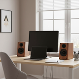 Loa vi tính HIFI 2.0 GS51 Basic 2