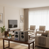 Loa vi tính HIFI 2.0 GS55