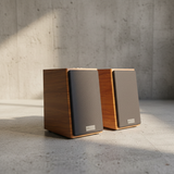 Loa vi tính HIFI 2.0 Goldsound GS51 Pro 2