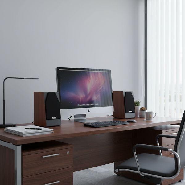 Loa vi tính HIFI 2.0 W168