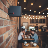 Loa vệ tinh V17 - 17w (sl 1 chiếc)