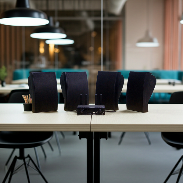 Dàn loa không dây treo tường G20 (01 bộ phát + 4 loa treo tường)