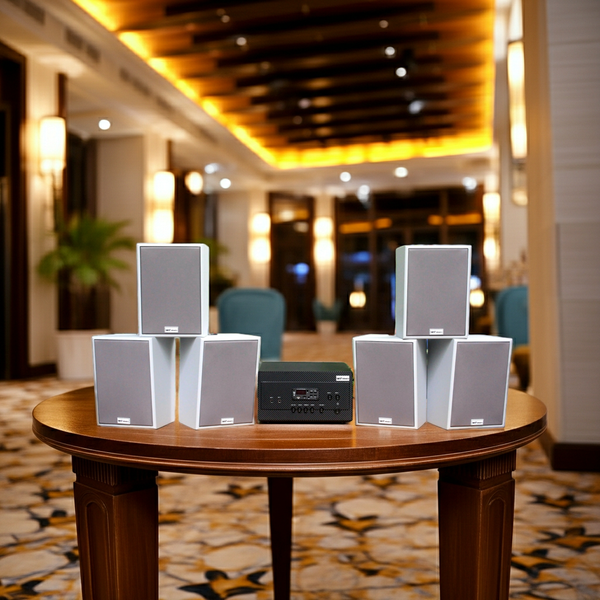 Dàn loa treo tường thông báo phát nhạc nền tự động: Amply A917 + 6 V70C