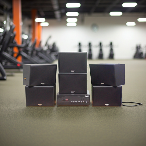 Dàn loa treo tường: Amply A917PU - 2K Goldsound 2 vùng âm lượng 1200w + 6 loa Goldsound V130 - 130w, bật lớn không tạp âm, miễn phí công lắp đặt, bảo hành dài hạn 5 năm