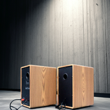 Loa vi tính HIFI 2.0 W84