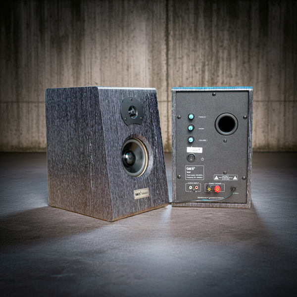 Loa vi tính HIFI 2.0 W81