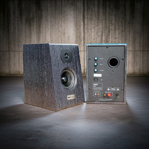 Loa vi tính HIFI 2.0 W81