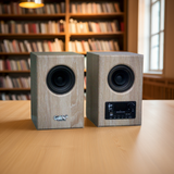 Loa bluetooth HiFi 2.0 GS51 Pro Goldsound (100w, Bluetooth 5.0, AUX, USB)