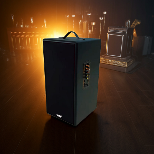 Loa Bluetooth D165PU Goldsound + 1 micro dây: công suất 165w, bass 20 cm, treble 10 cm, bluetooth 5.0, cổng cắm Micro, cổng rca, khe usb, thiết kế loa thùng gỗ cao 57 cm, rộng 28 cm, sâu 30 cm. Bảo hành 12 tháng