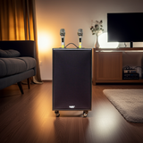 Loa di động D230PU - MI, công suất 230w, pin 4 - 6 tiếng, kèm 2 Micro, 1 bass, 1 treble, bluetooth 5.0, cổng rca, khe usb, thiết kế loa thùng gỗ, cao 57.25 cm, rộng 35.5 cm, sâu 36 cm. Bảo hành 12 tháng