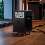 Loa kéo D1000 Goldsound (Bass 40cm, 1000w, kèm 2 Micro, pin 5-6H)