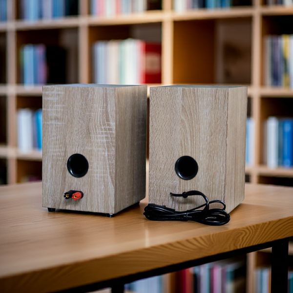 Loa bluetooth HiFi 2.0 GS51 Pro Goldsound (100w, Bluetooth 5.0, AUX, USB)