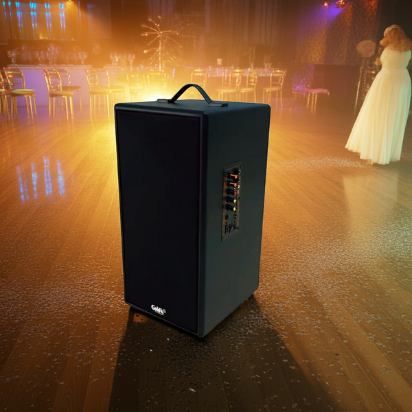 Loa Bluetooth D165PU Goldsound + 1 micro dây: công suất 165w, bass 20 cm, treble 10 cm, bluetooth 5.0, cổng cắm Micro, cổng rca, khe usb, thiết kế loa thùng gỗ cao 57 cm, rộng 28 cm, sâu 30 cm. Bảo hành 12 tháng