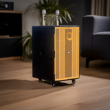 Loa kéo D1000 Goldsound (Bass 40cm, 1000w, kèm 2 Micro, pin 5-6H)