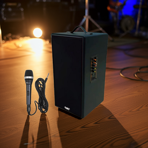 Loa Bluetooth D165PU Goldsound + 1 micro dây: công suất 165w, bass 20 cm, treble 10 cm, bluetooth 5.0, cổng cắm Micro, cổng rca, khe usb, thiết kế loa thùng gỗ cao 57 cm, rộng 28 cm, sâu 30 cm. Bảo hành 12 tháng