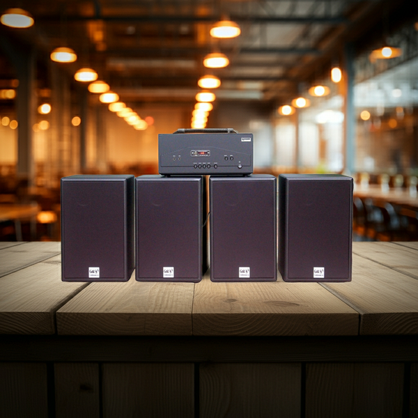 Loa hội trường V230 TH Goldsound (Số lượng 1 loa) công suất 200w, loa bass 25 cm, treble 10 cm, kích thước rộng 32 cm, cao 47 cm, sâu 31 cm, bảo hành dài hạn 5 năm.