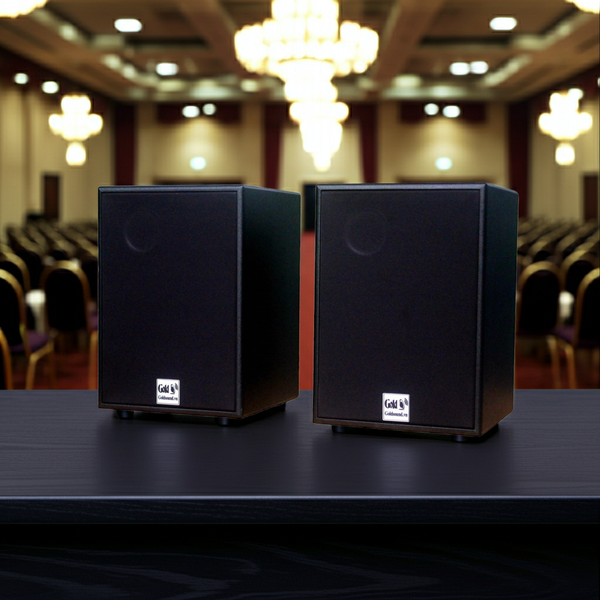 Loa Acoustic, hội trường V230 SG Goldsound (số lượng 01 loa), công suất 200w, loa bass 25 cm, treble 10 cm, kích thước rộng 32 cm, cao 47 cm, sâu 31 cm, bảo hành dài hạn 5 năm.