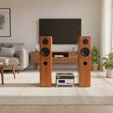 Hàng trưng bày: Dàn loa cây A800-V260  (cặp loa cây V260 và âm ly A800)