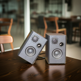 Loa vệ tinh quán cafe, nhà hàng Gold4cafe 28W