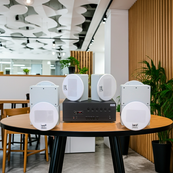 Loa âm trần thông báo, phát nhạc nền tự động: A384-6K Goldsound 6 vùng âm lượng 1200w + 6 loa âm trần Goldsound VAT38 38w, Amply 4 - 6 vùng âm lượng, loa được thiết kế riêng cho quán, bật lớn không tạp âm, miễn phí công lắp đặt, bảo hành dài hạn 5 năm.