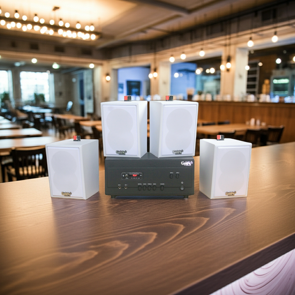 Loa thông báo, loa phát nhạc nền tự động A907PU-2K Goldsound 2 vùng âm lượng 900w + 4 loa Goldsound V25C màu trắng, loa được thiết kế riêng cho quán, bật lớn không tạp âm, miễn phí công lắp đặt, bảo hành dài hạn 5 năm.