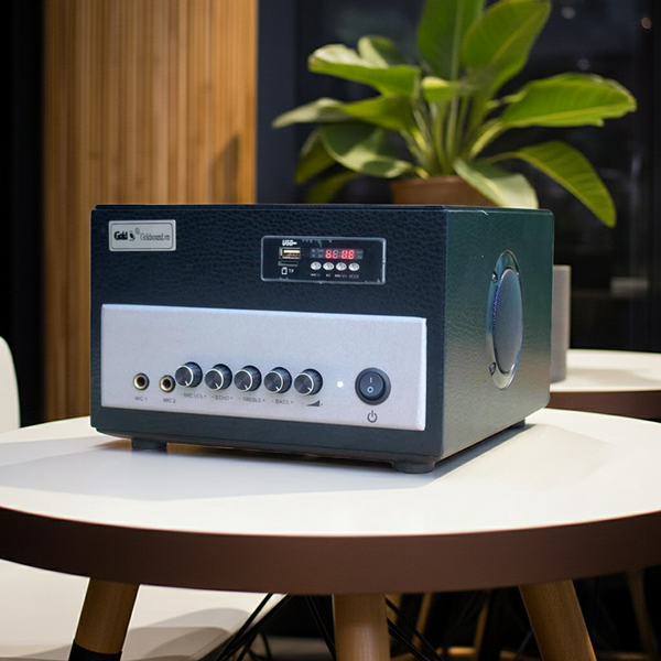 Âm ly A370 Goldsound 370w - 2 cổng Micro