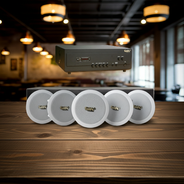 Loa âm trần VAT101 Goldsound (Số lượng 01 loa), công suất thực 15w, Bass 10 cm, thiết kế hình tròn, hoàn toàn màu trắng, sang trọng, độ thẩm mỹ cao