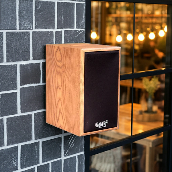 Loa vệ tinh V15 - công suất 15w