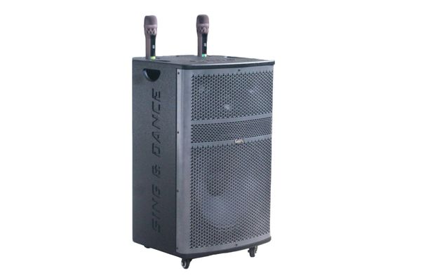 Loa kéo D560 Goldsound (Bass 40cm, 750w, kèm 2 Micro, pin 3-4H)