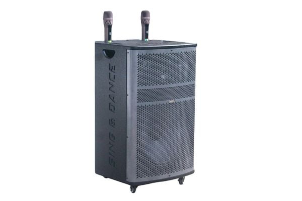 Loa kéo D570 Goldsound (Bass 40cm, 750w, kèm 2 Micro, pin 3-4H)
