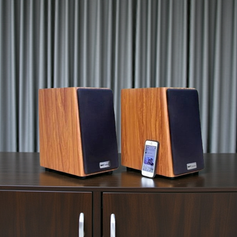 Loa vi tính HIFI 2.0 GS51 Basic 2