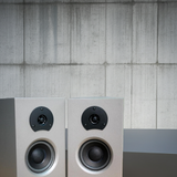 Loa vi tính HIFI 2.0 GS55