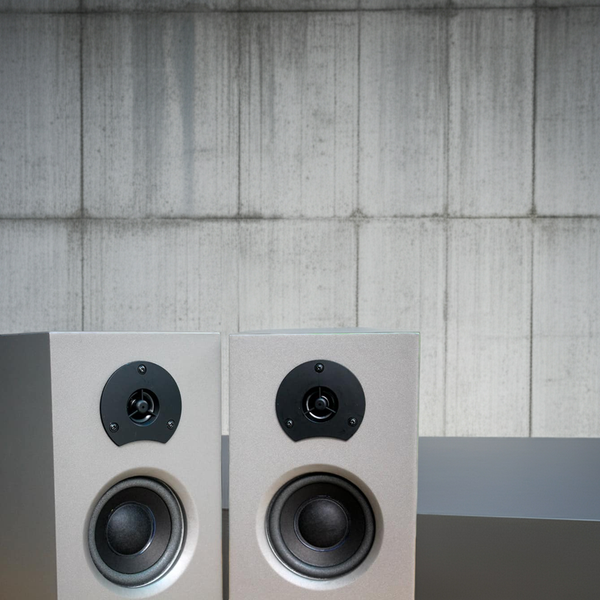 Loa vi tính HIFI 2.0 GS55