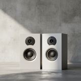 Loa vi tính HIFI 2.0 GS55