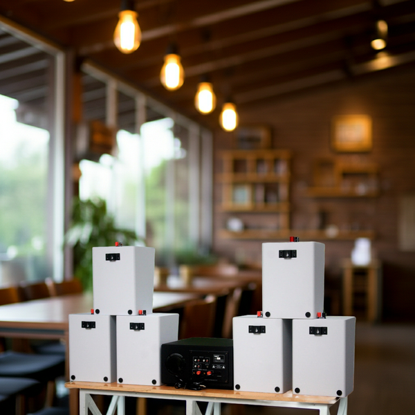 Dàn loa treo tường thông báo phát nhạc nền tự động: Amply A917 + 6 V70C